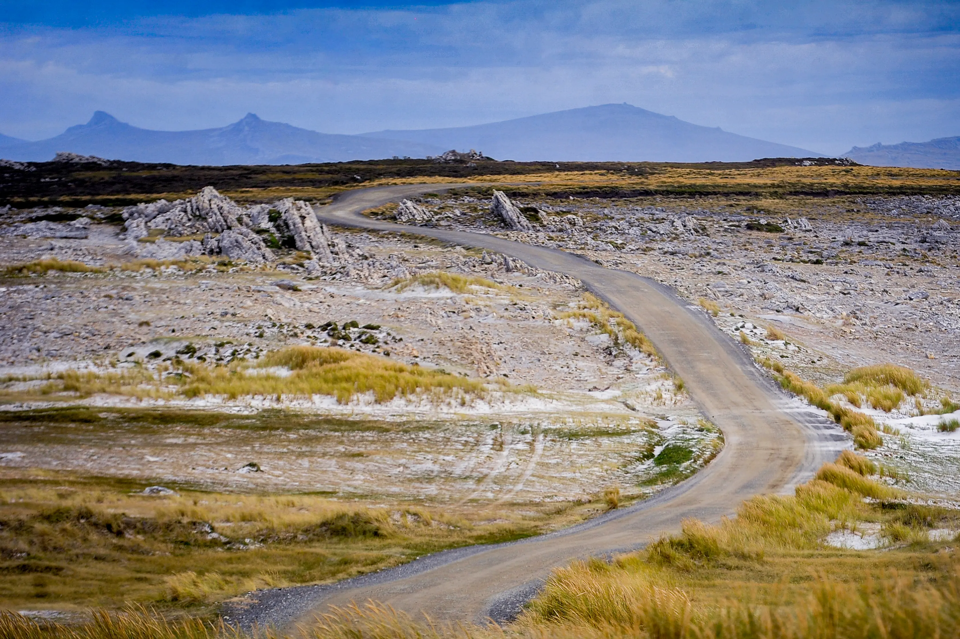 Malvinas con ojos de San Luis — imagen de galería