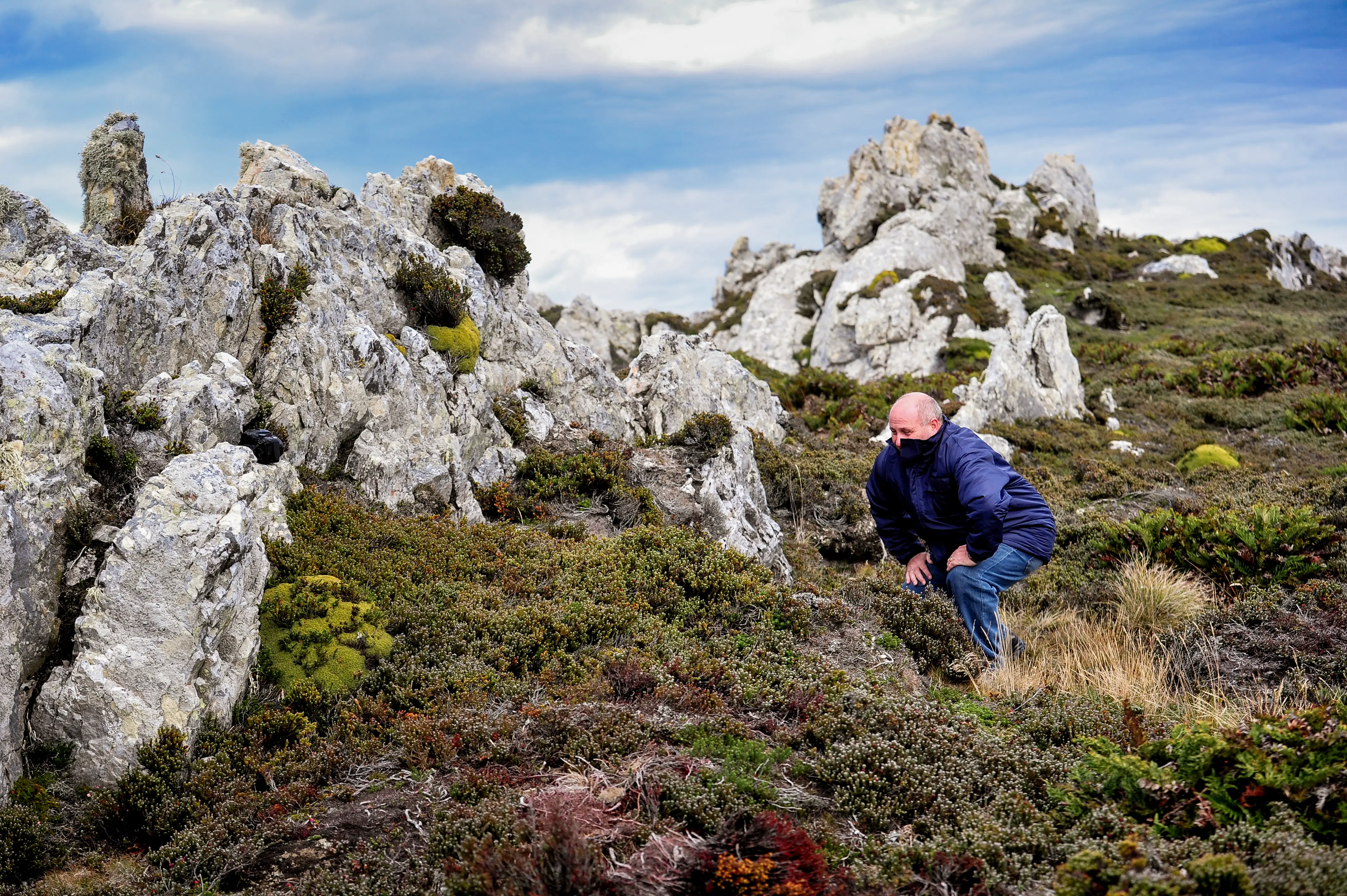 Malvinas con ojos de San Luis — imagen de galería