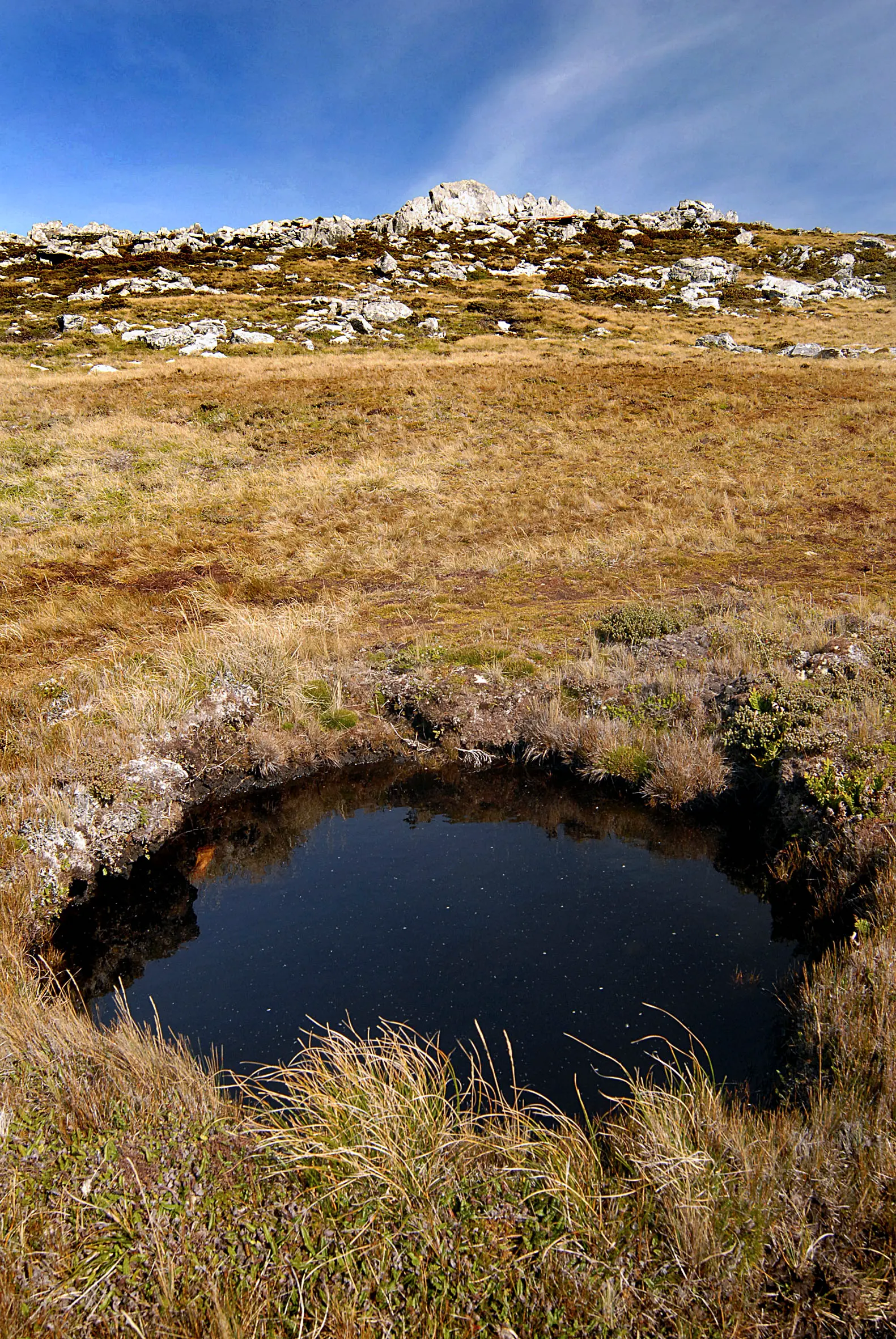Malvinas con ojos de San Luis — imagen de galería