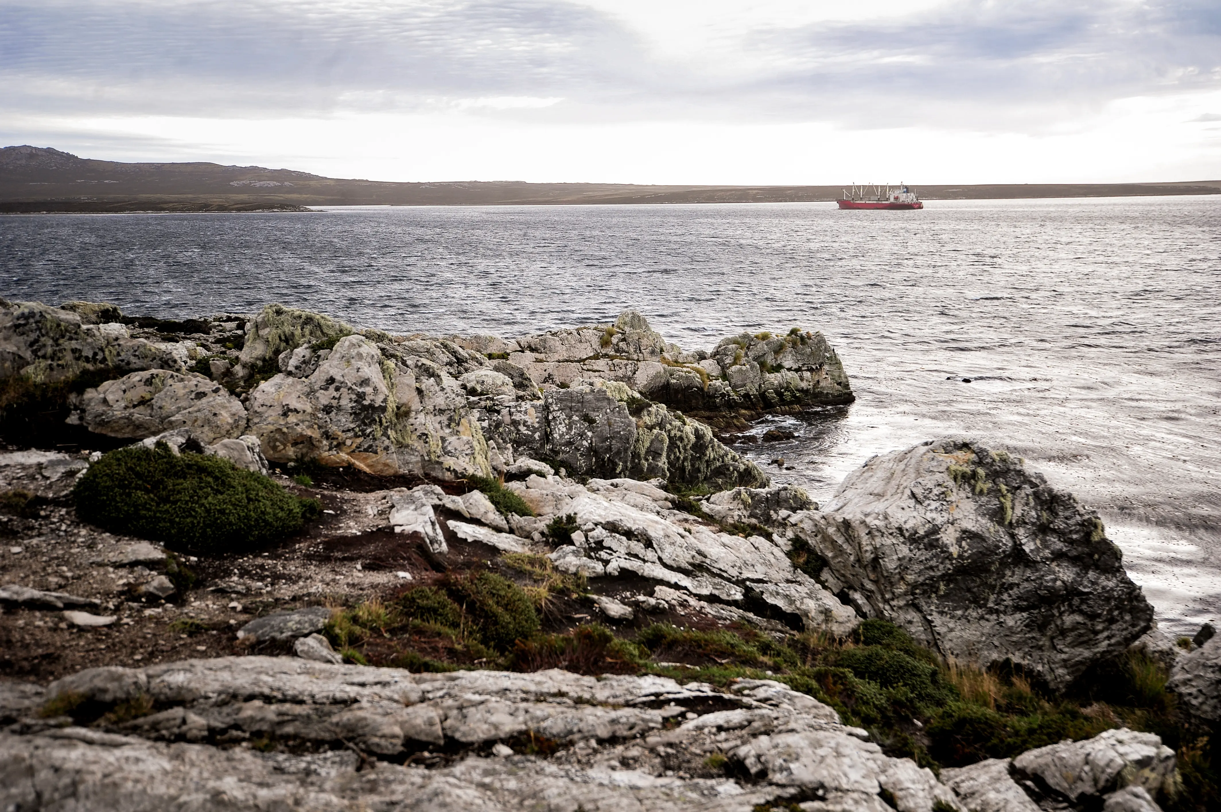 Malvinas con ojos de San Luis — imagen de galería
