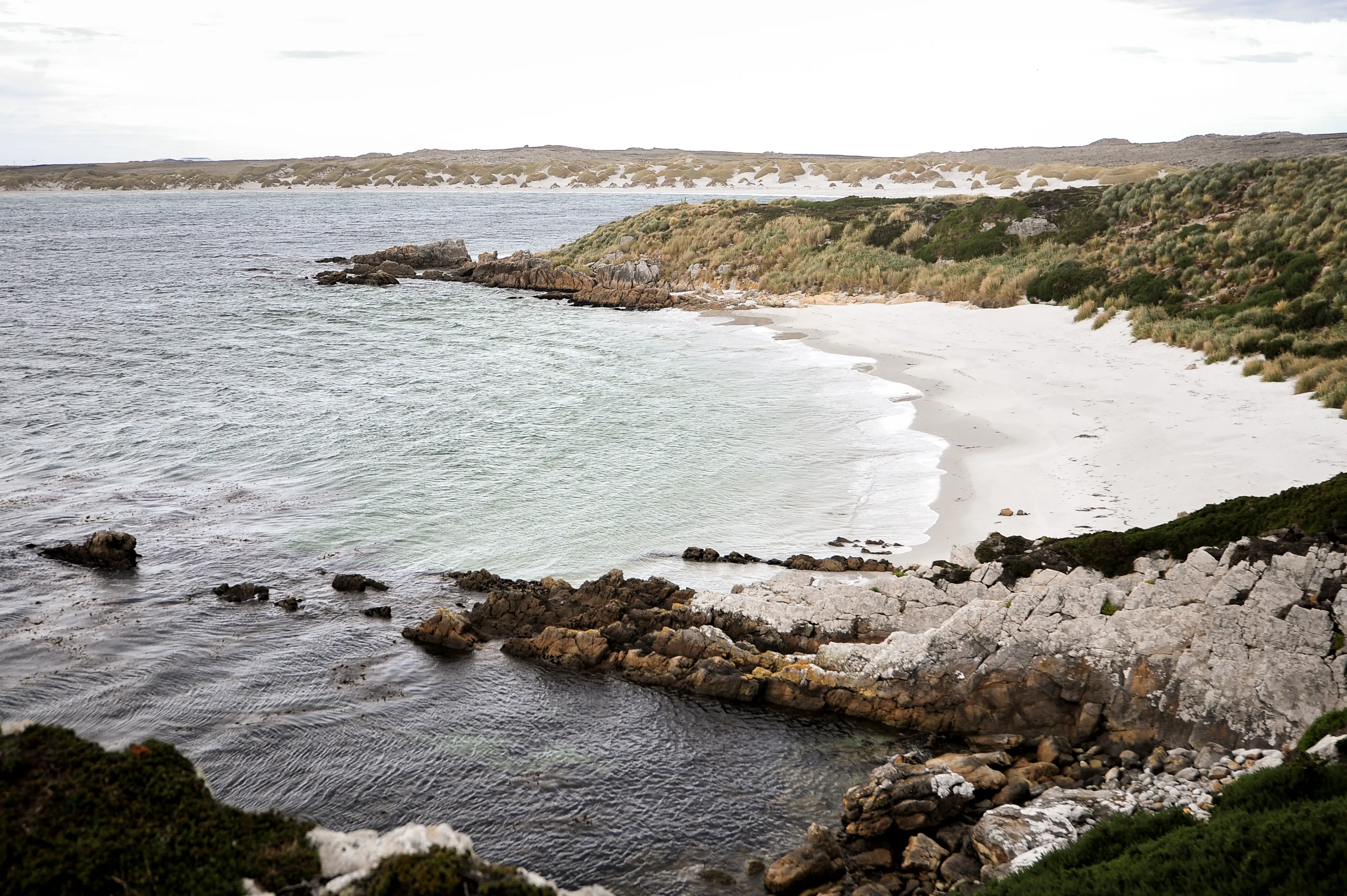 Malvinas con ojos de San Luis — imagen de galería