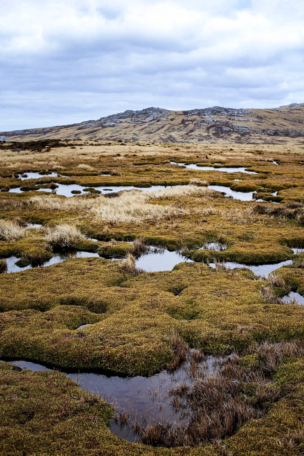 Malvinas con ojos de San Luis — imagen de galería