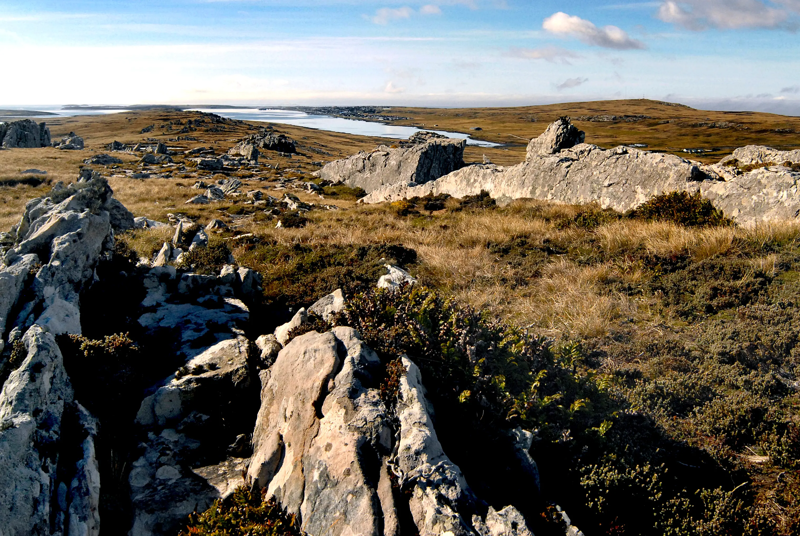 Malvinas con ojos de San Luis — imagen de galería