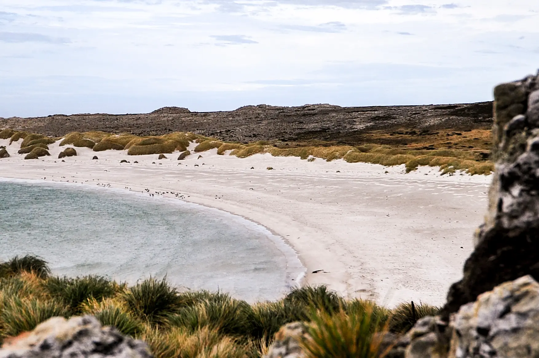 Malvinas con ojos de San Luis — imagen de galería