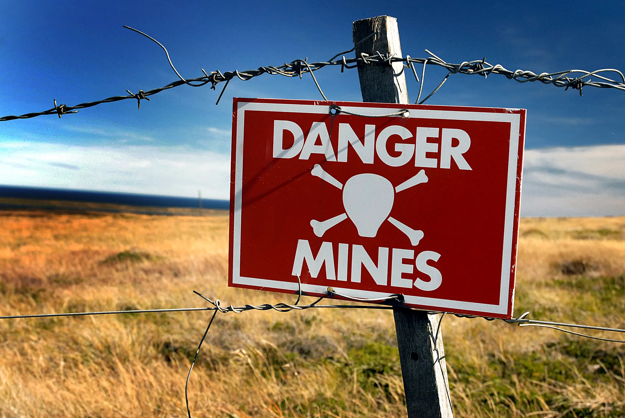 Malvinas con ojos de San Luis — imagen de galería