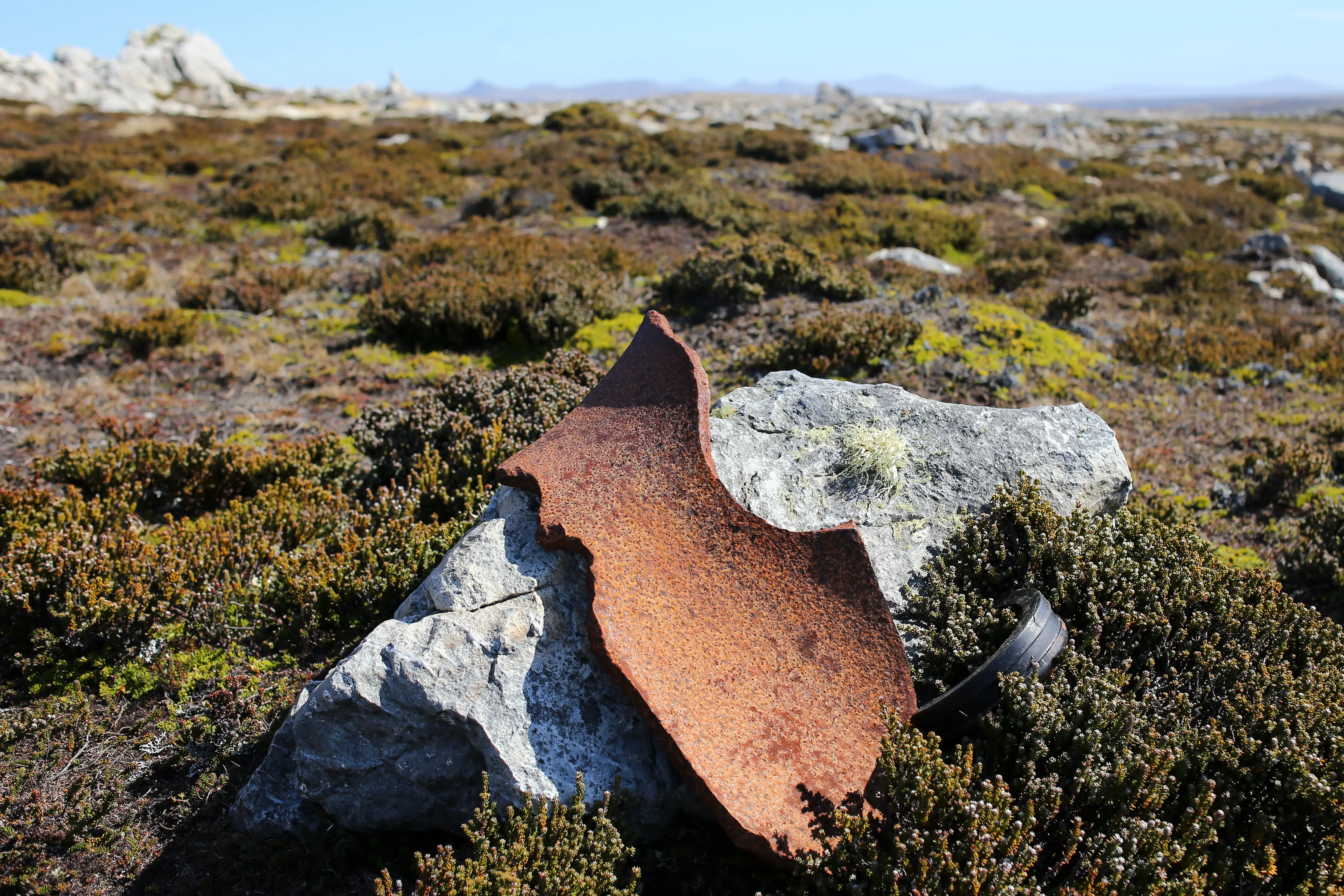 Malvinas con ojos de San Luis — imagen de galería