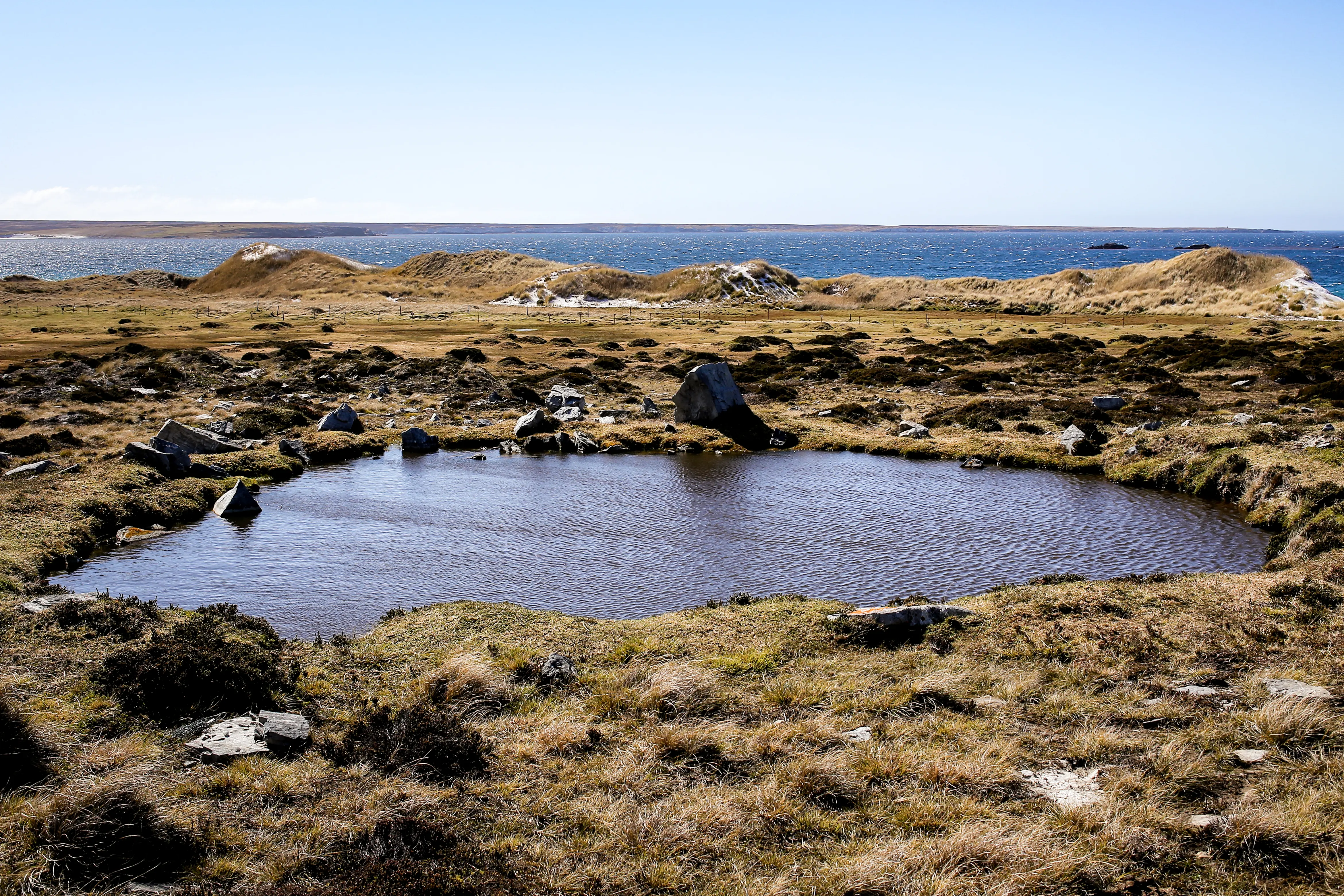Malvinas con ojos de San Luis — imagen de galería