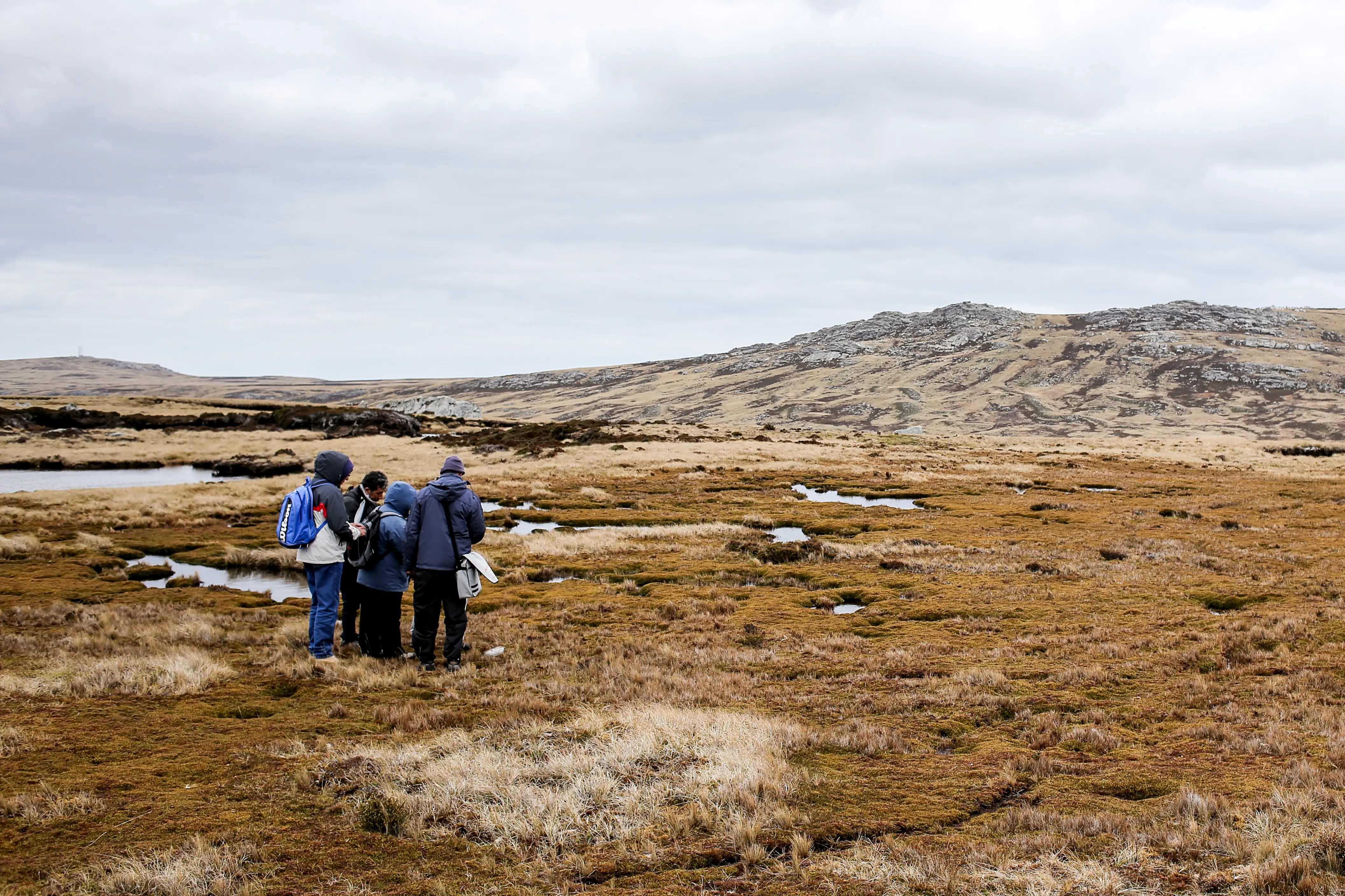 Malvinas con ojos de San Luis — imagen de galería