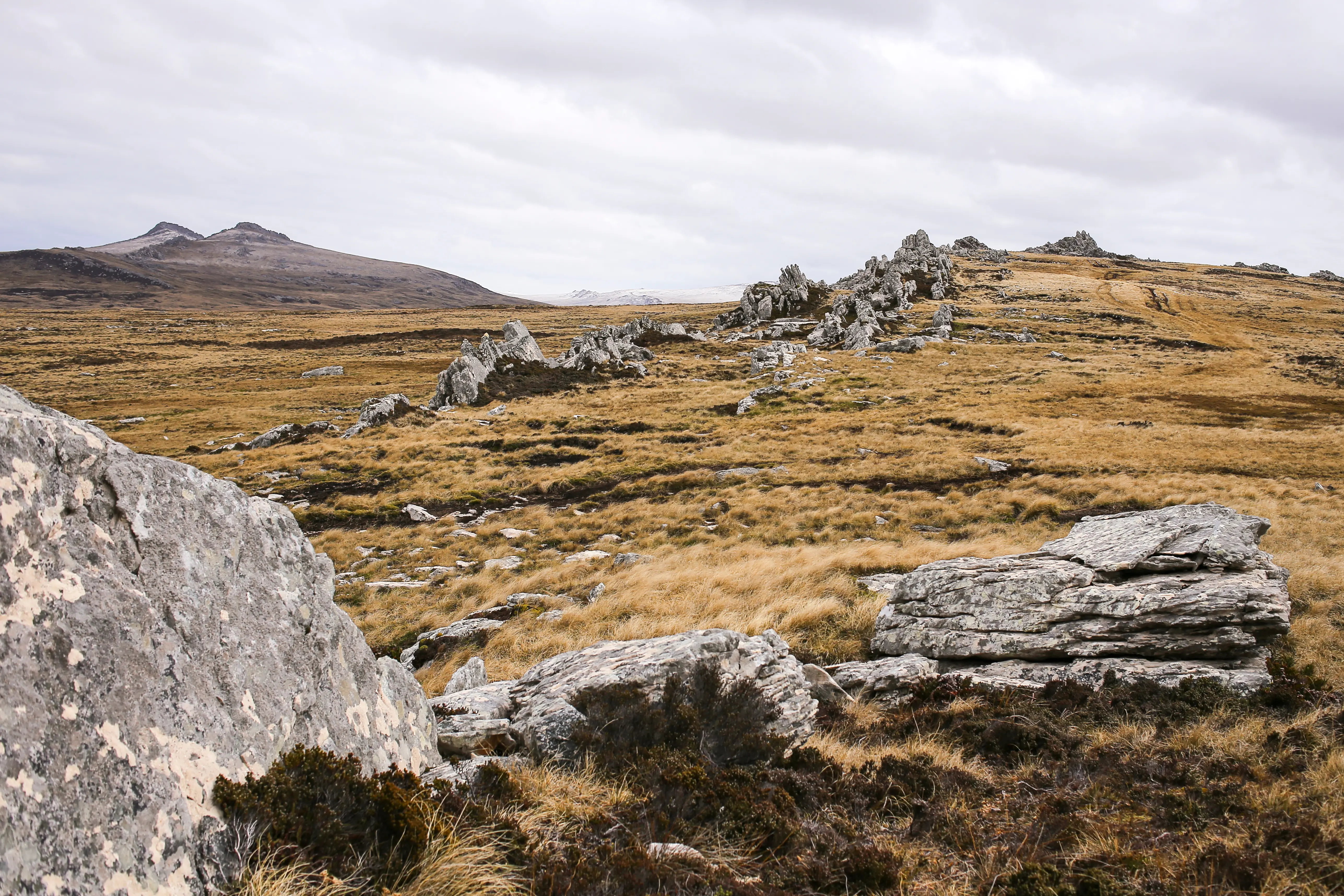 Malvinas con ojos de San Luis — imagen de galería