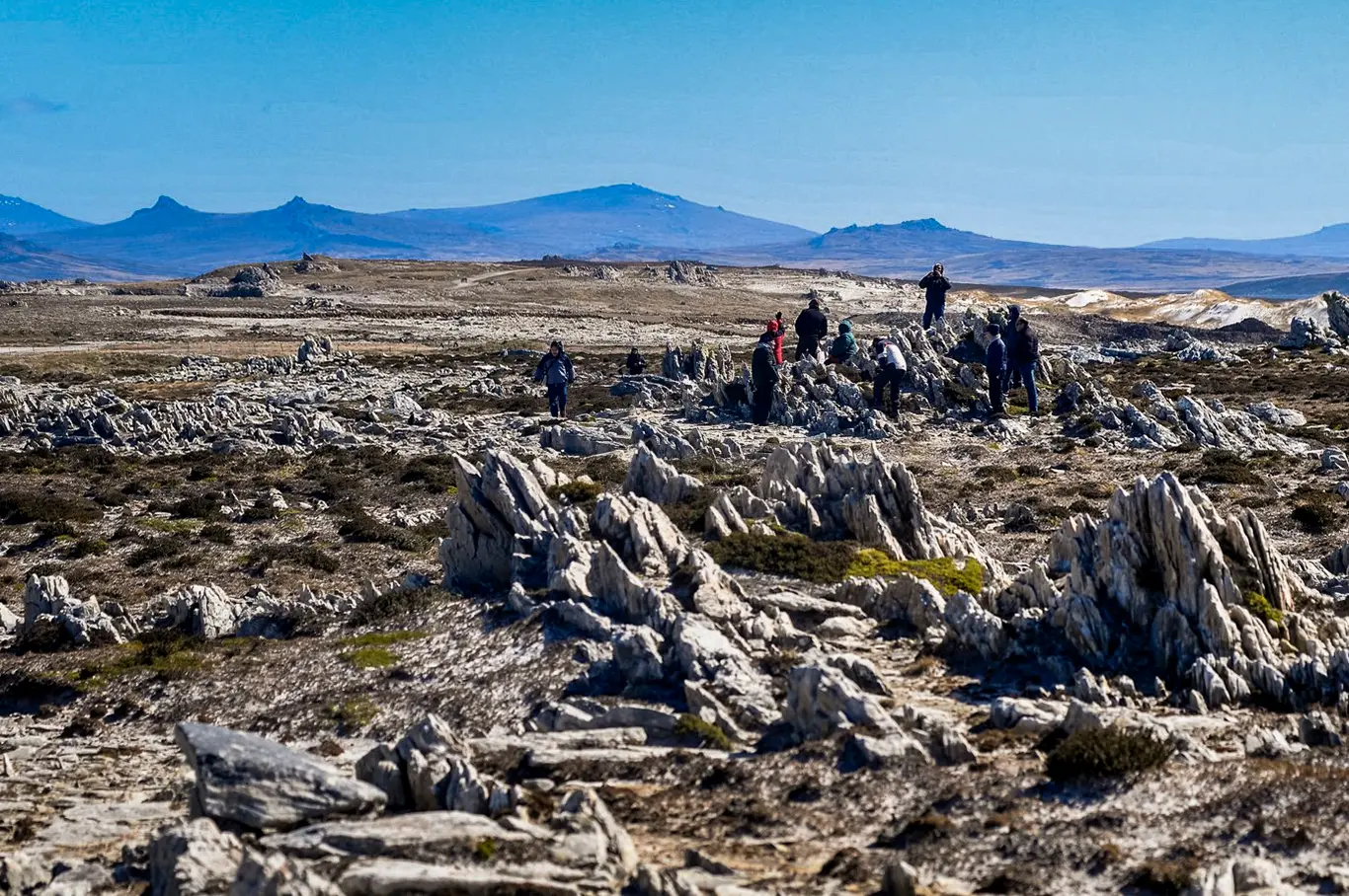 Malvinas con ojos de San Luis — imagen de galería