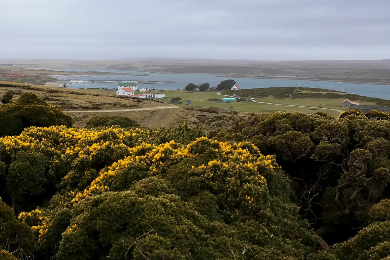 Malvinas con ojos de San Luis — imagen de galería