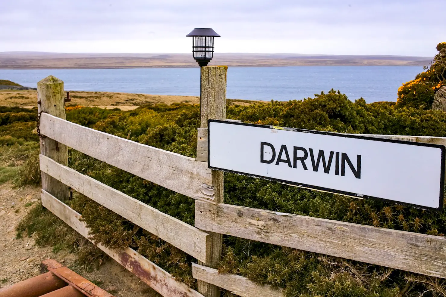 Malvinas con ojos de San Luis — imagen de galería