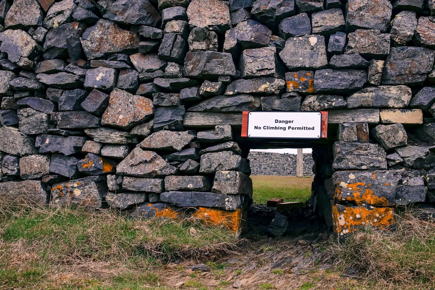 Malvinas con ojos de San Luis — imagen de galería