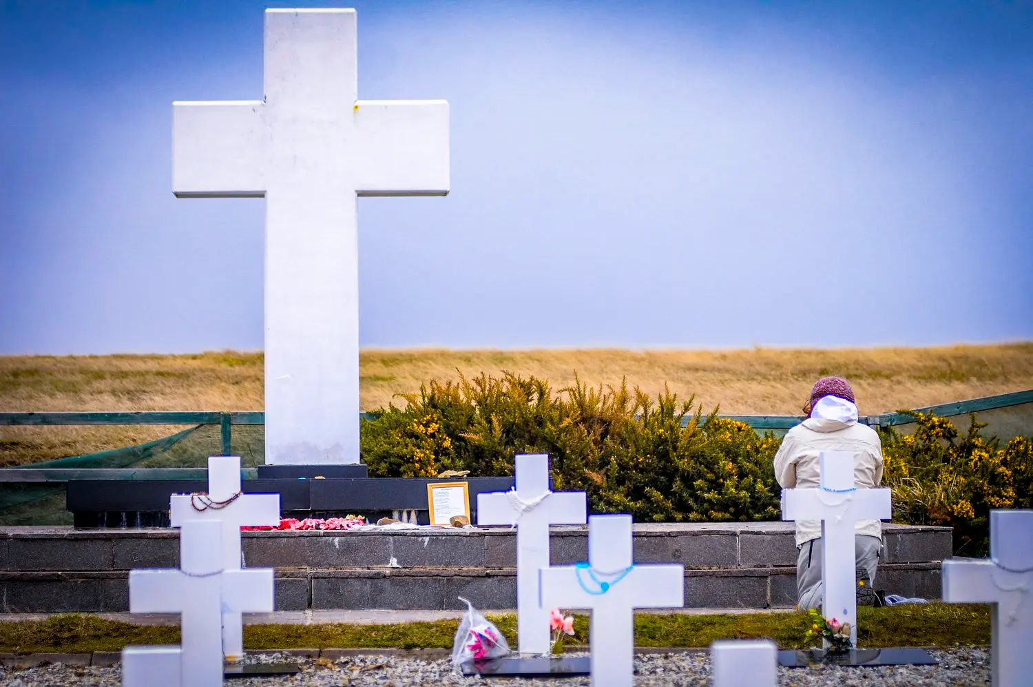 Malvinas con ojos de San Luis — imagen de galería