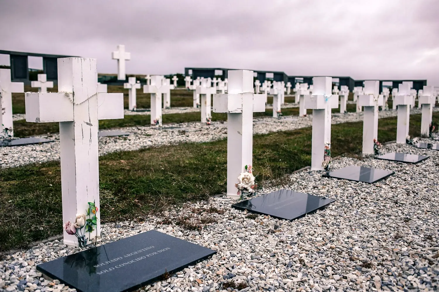 Malvinas con ojos de San Luis — imagen de galería