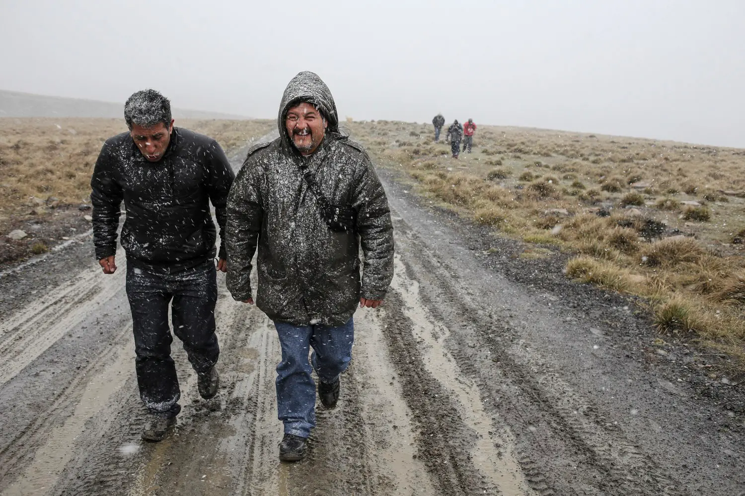 Malvinas con ojos de San Luis — imagen de galería