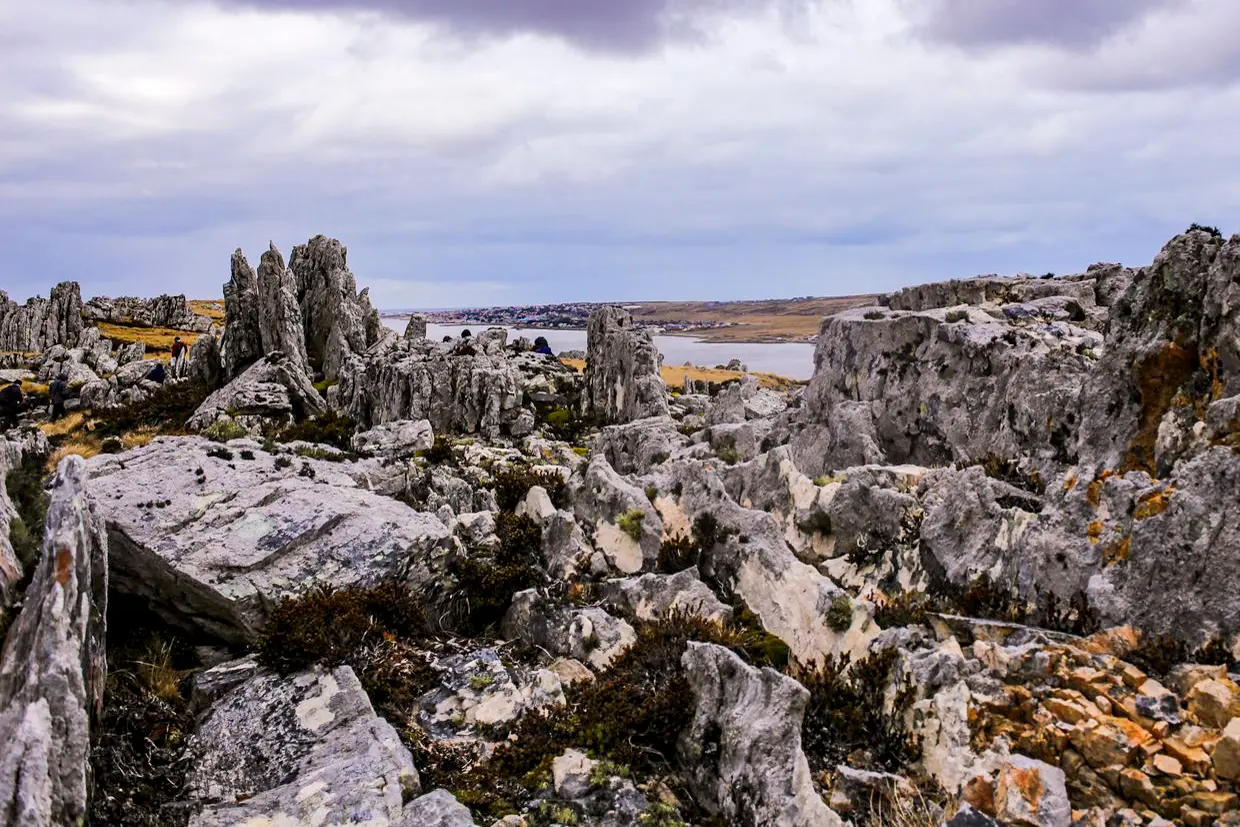 Malvinas con ojos de San Luis — imagen de galería