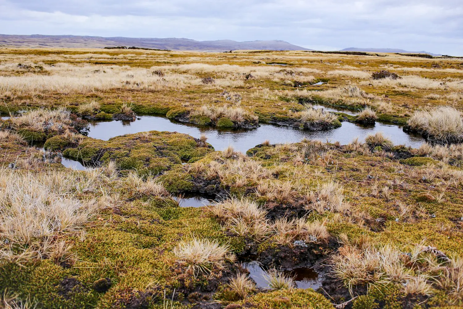 Malvinas con ojos de San Luis — imagen de galería