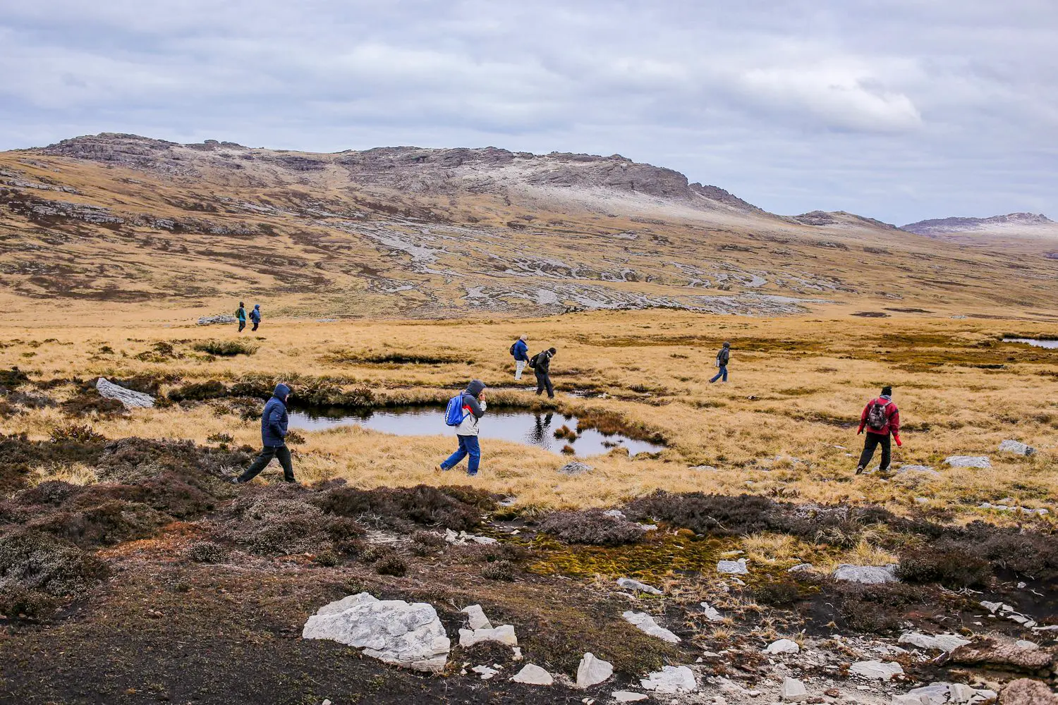 Malvinas con ojos de San Luis — imagen de galería