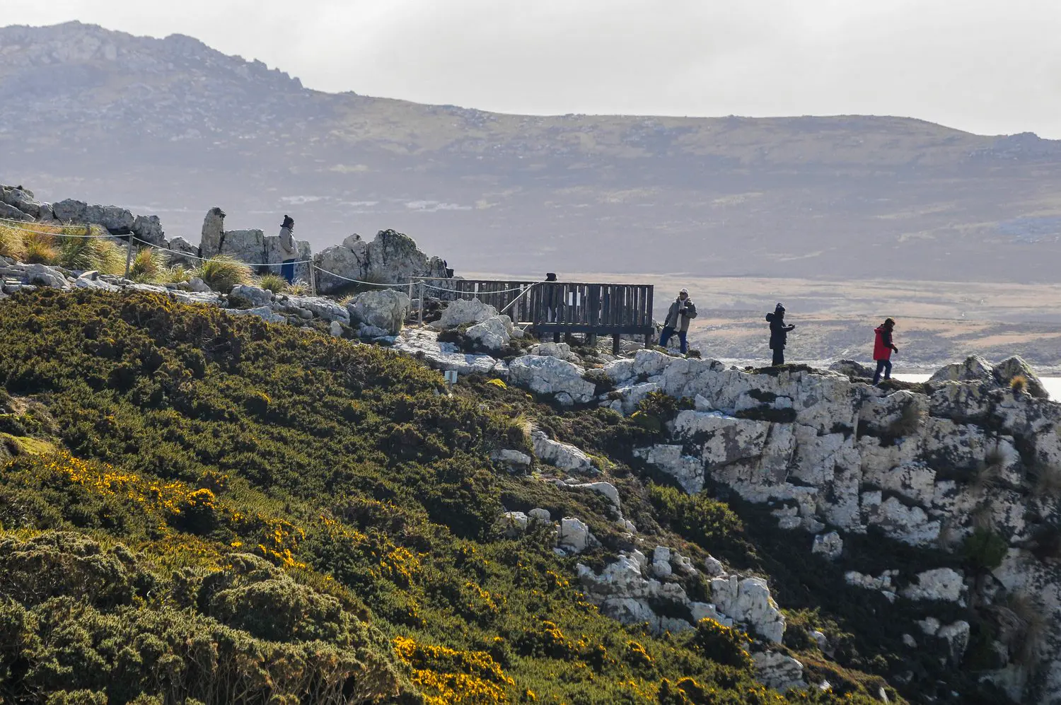 Malvinas con ojos de San Luis — imagen de galería