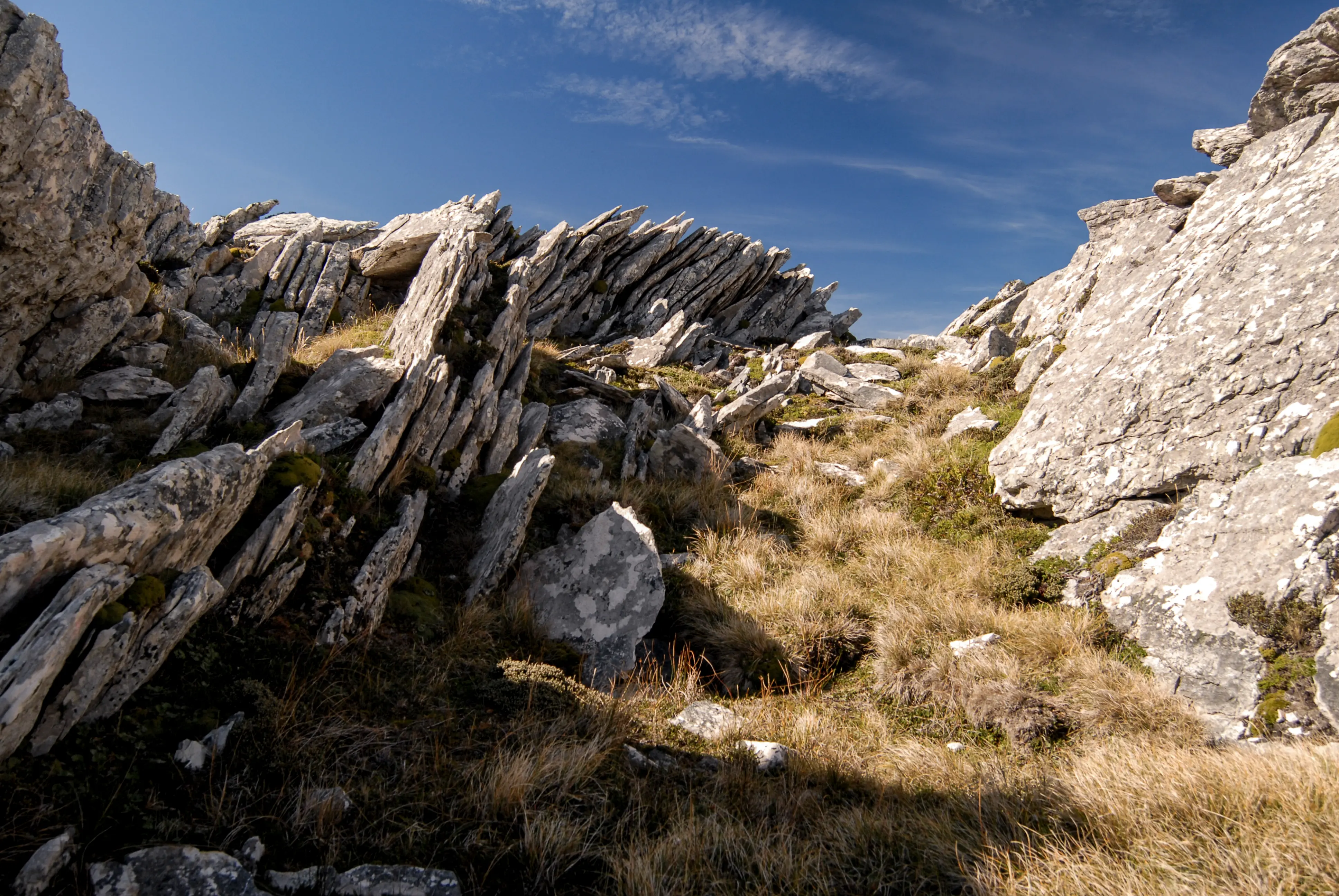 Malvinas con ojos de San Luis — imagen de galería