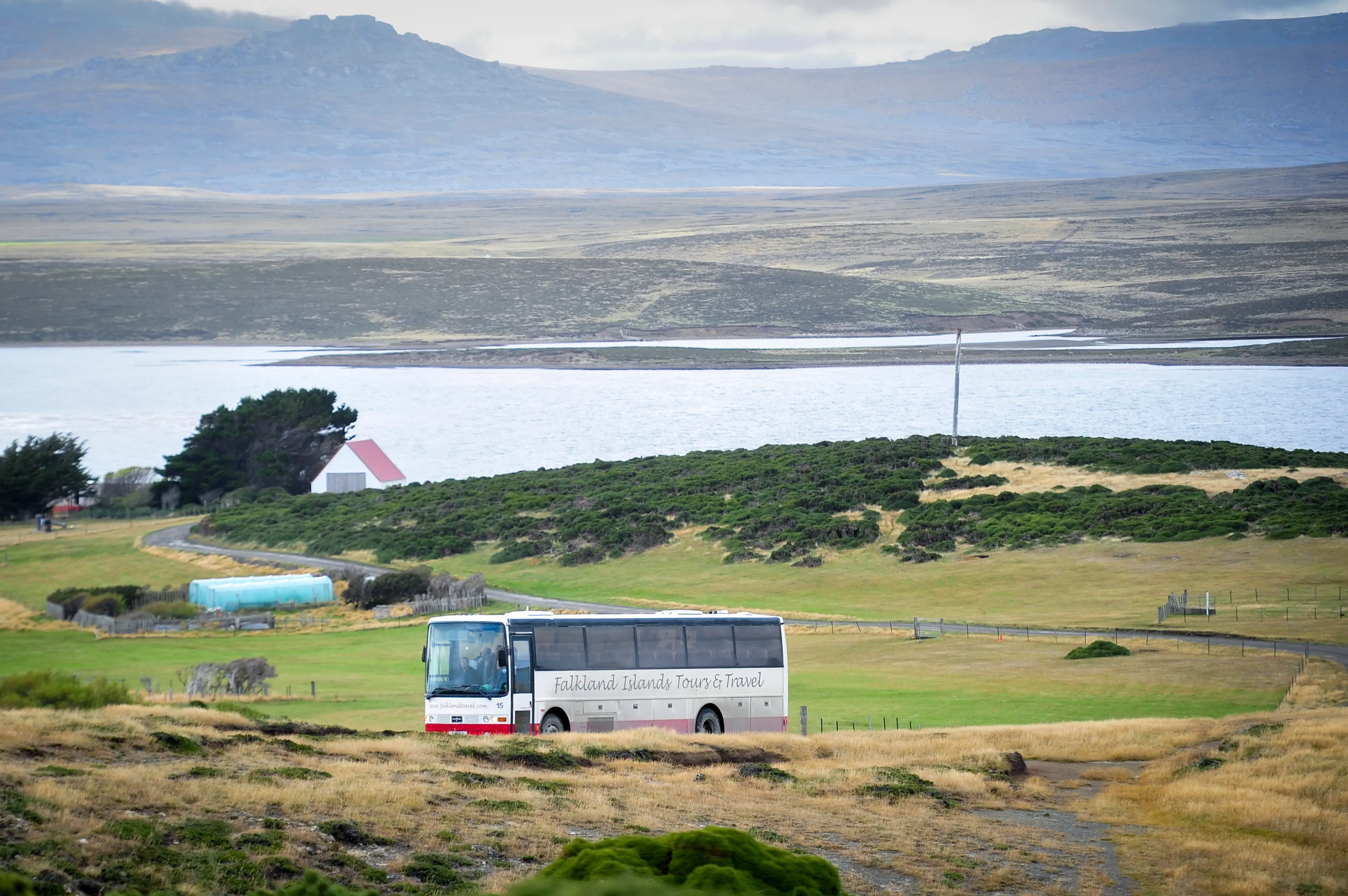 Malvinas con ojos de San Luis — imagen de galería