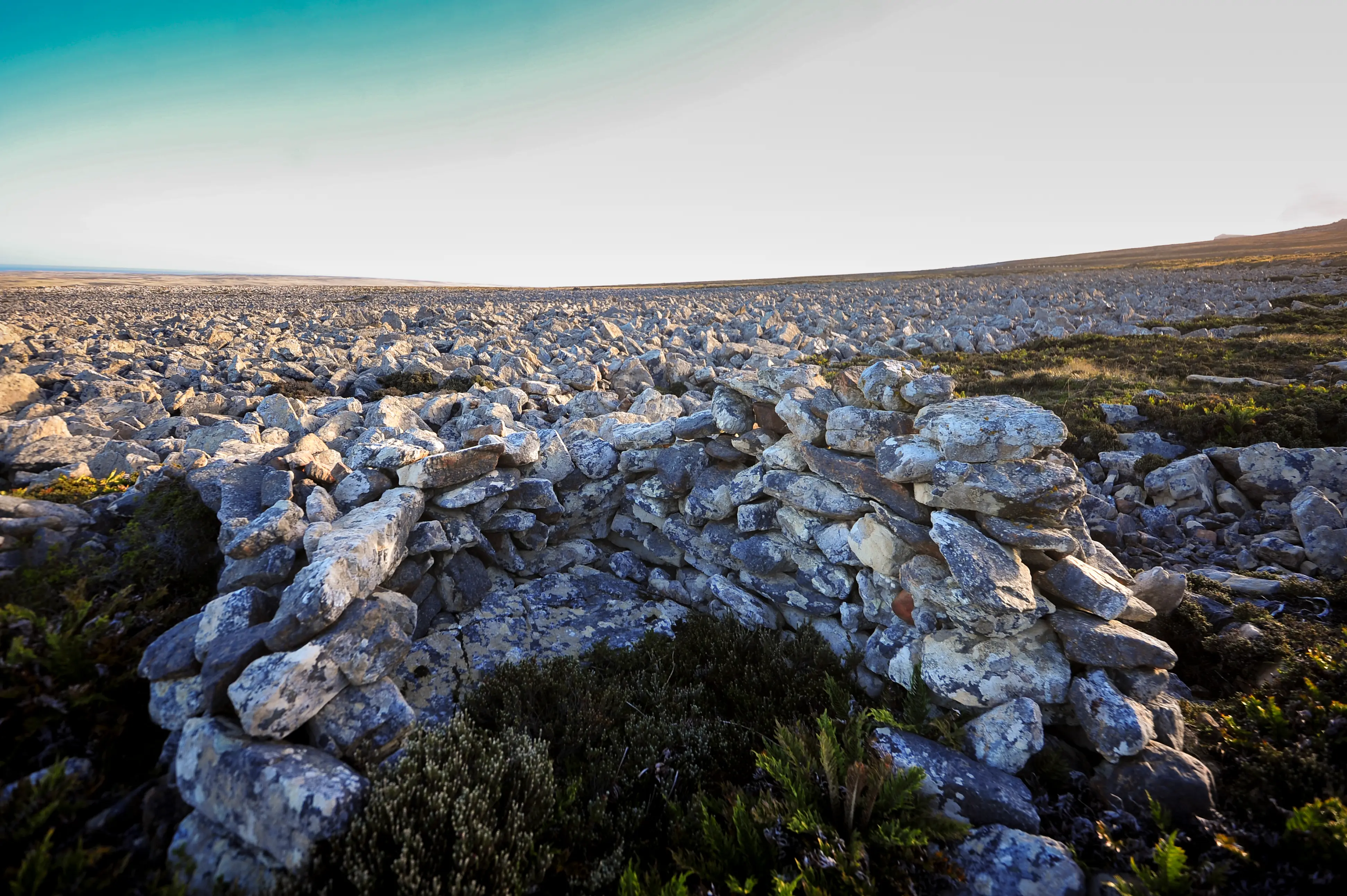 Malvinas con ojos de San Luis — imagen de galería