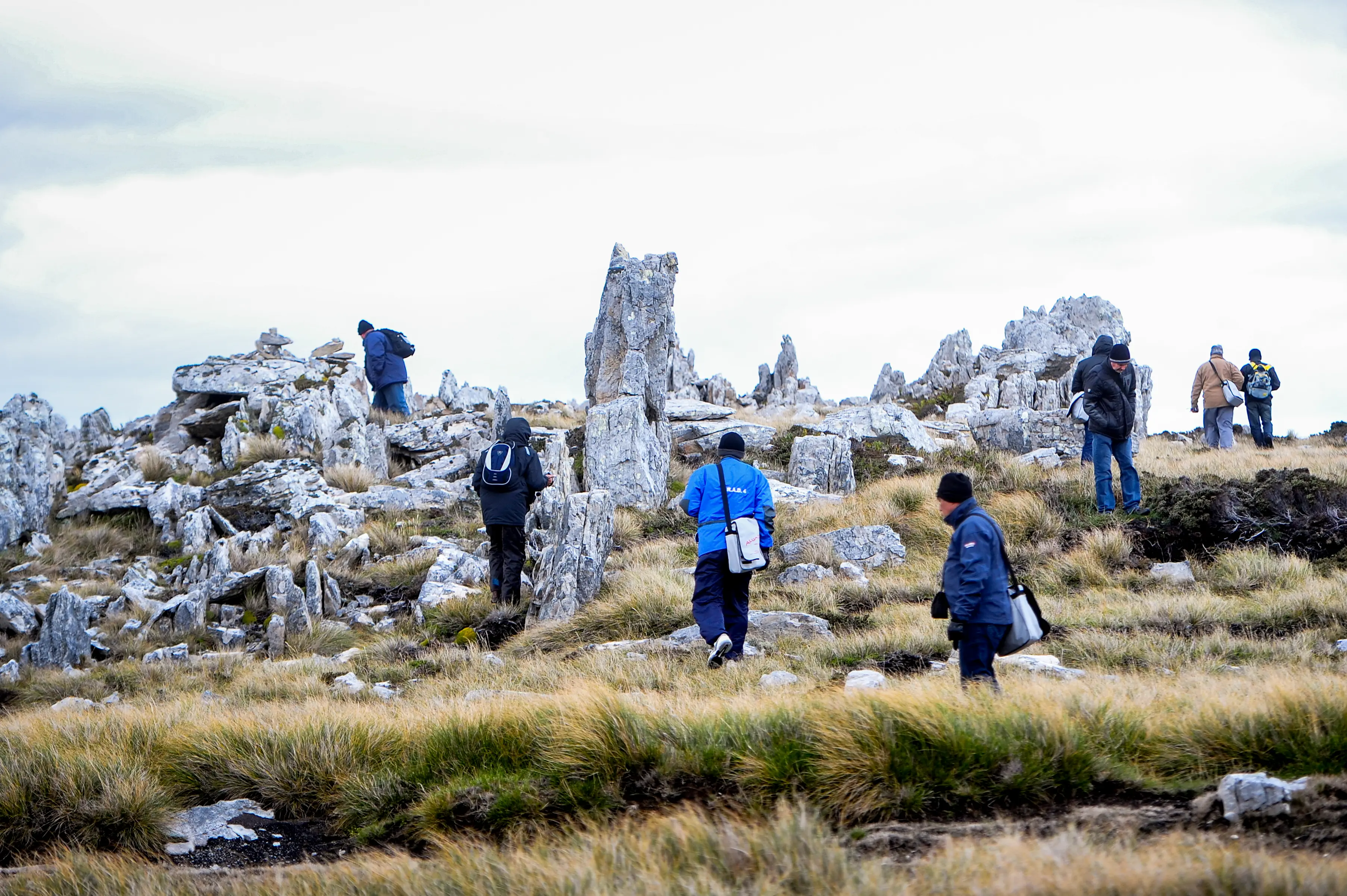 Malvinas con ojos de San Luis — imagen de galería
