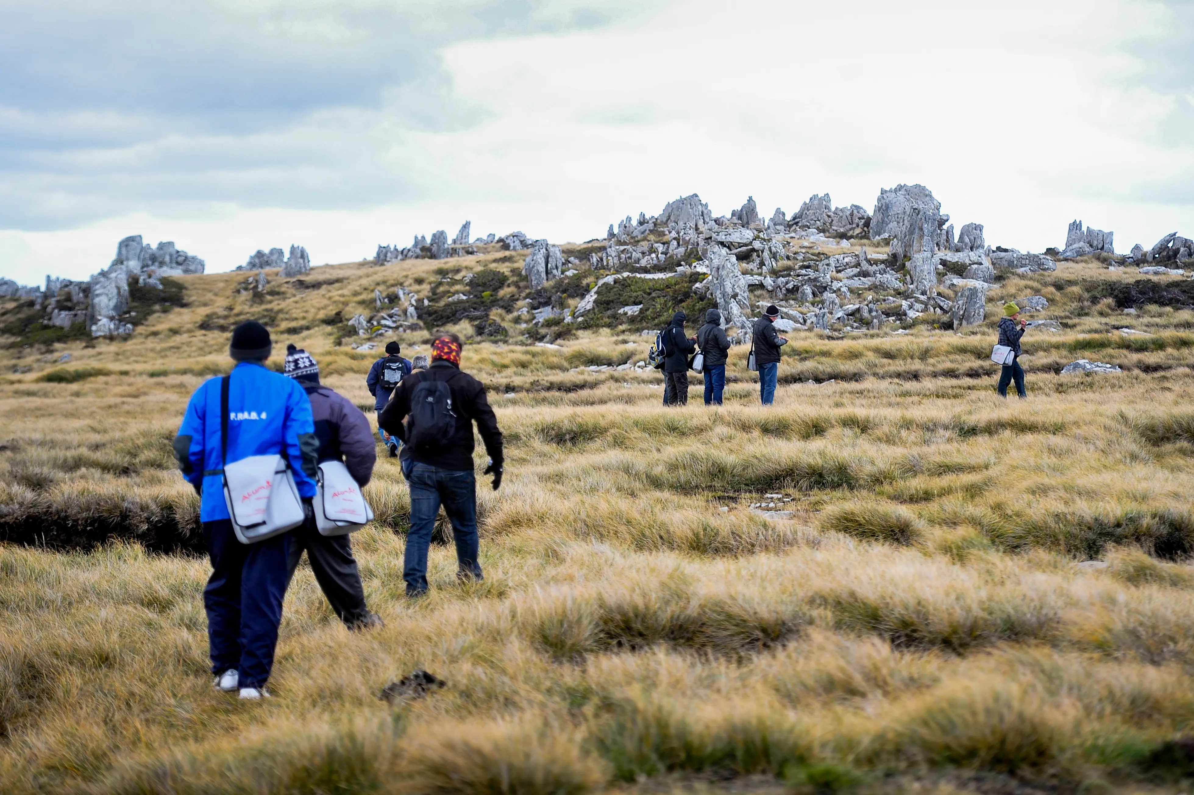 Malvinas con ojos de San Luis — imagen de galería