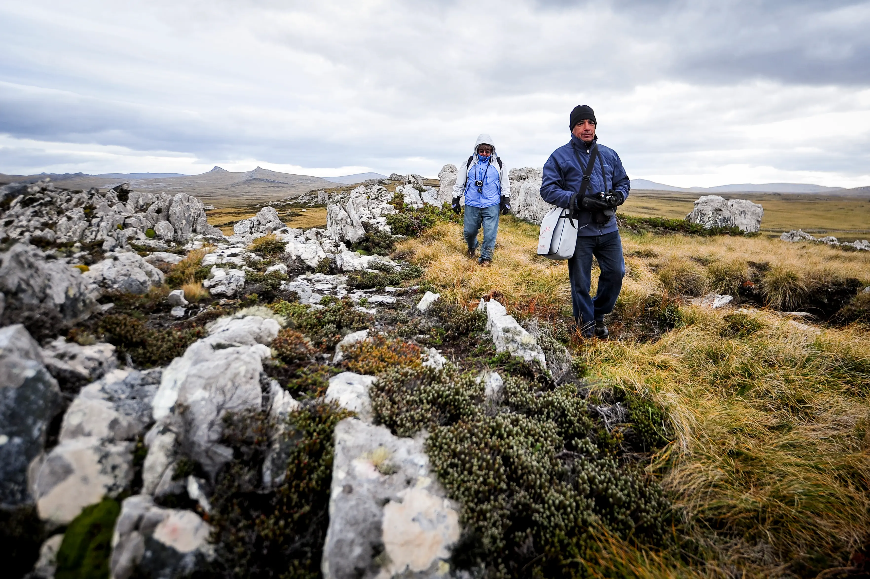 Malvinas con ojos de San Luis — imagen de galería